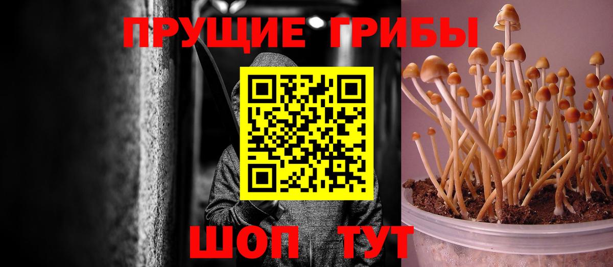 Галлюциногенные грибы Psilocybe  Вход с VPN  где купить наркотик  Старая Купавна  Псилоцибиновые грибы MAGIC MUSHROOMS 